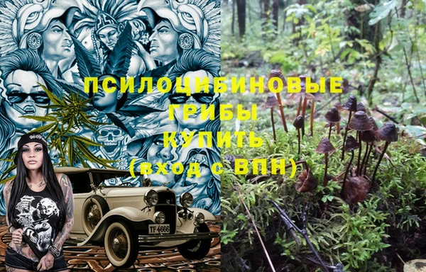 прущий лед Пестово