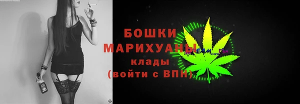 сатива Осташков