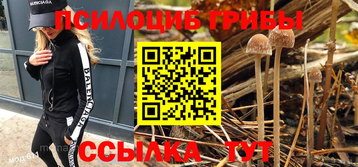Псилоцибиновые грибы мухоморы  Вход с VPN  Кохма  что такое наркотик  Псилоцибиновые грибы Cubensis 